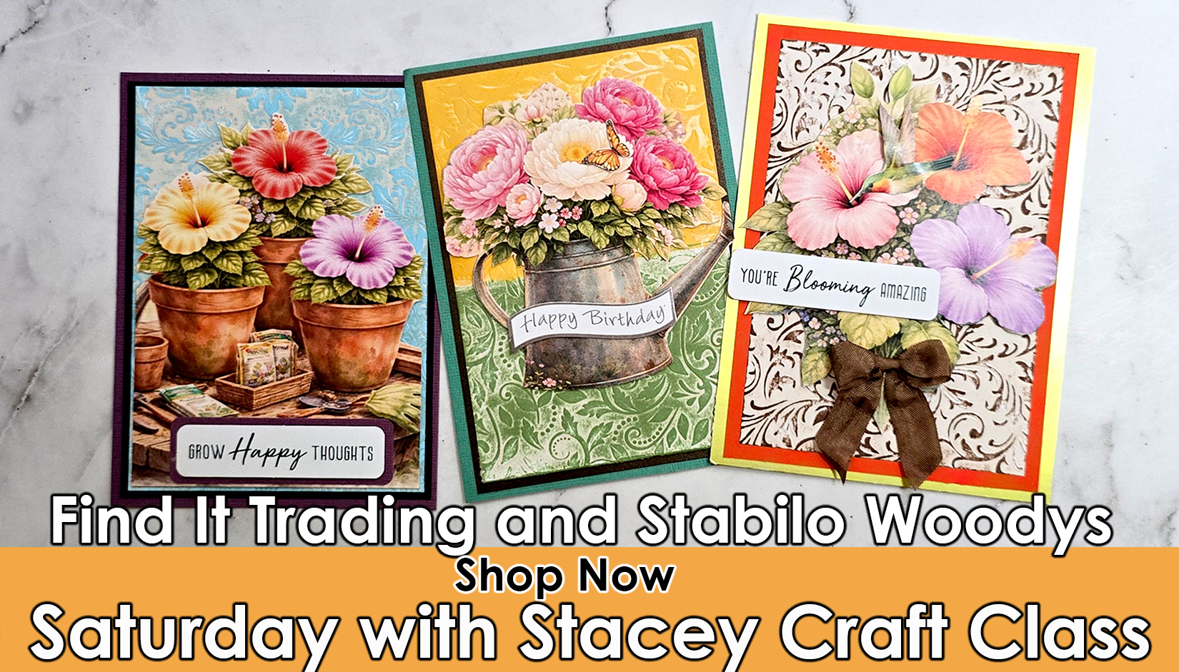 sws-shop-now-banner-656-2.jpg
