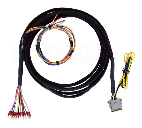 Now you can use your AVS switchbox with AccuAir manifold - this makes it plug and play!

Plugs directly into any AVS ARC-7 or AVS ARC-T7 switchbox and Accuair's VU4 manifold valve. Also includes accessory wire to provide switched power to your compressor's relays/solenoids. Remote fill and dump wires for your AVS ARC-7 switch box are also included in the harness. 
