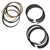 Do it right with these Pro LS forged piston rings. These replacement ring sets serve a variety of important roles, including sealing the combustion chamber, improving heat transfer from the piston to the cylinder wall, and regulating engine oil consumption. 
•Bore (in): 3.780 in.                                                            
•Bore (mm): 96.012mm                                                            
•File Fit: Yes                                                            
•Gapless: No                                                            
•Top Ring Included: Yes                                                            
•Top Ring Thickness: 1.5mm                                                            
•Top Ring Material: Steel                                                            
•Top Ring Facing Material: Plasma-moly                                                            
•Second Ring Included: Yes                                                            
•Second Ring Thickness: 1.5mm                                                            
•Second Ring Material: Ductile iron            
•Second Ring Facing Material: Ductile iron                                                            
•Oil Ring Included: Yes                                                            
•Oil Ring Thickness: 3.0mm                                                            
•Oil Ring Tension: Standard                                                            
•Oil Ring Tension Rating: 13 lb.                                                            
•Oil Ring Material: Stainless steel                                                            
•Quantity: Sold as a set.                                                            
•Notes: Max. radials are 0.152 in. top, 0.169 second.
