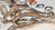 This is the turbo kit you have been looking for! 


Now you have the perfect option for your under powered Chevy/GMC Truck! Tired of not being able to get your dually out of its own way? Now you have the right option, and you don't need a Cummins to get it done and have that sound! LS Swap it and GO TURBO! Please note that for best results, you will want to use our Motor Mounts for your swap.


Perfect Fitment. Keeps All Stock Parts and Accessories. MAF Sensor Wires May Need to Be Cut and Extended.
The standard kit comes with a single Big T4 Turbo Provision, Supports 700-800 WHP. The standard turbo is most efficient up to 18psi, the ball bearing turbos are efficient up to 22-35 psi each, depending on which version you get (ball bearing vs. billet ball bearing).
60mm Vband WG and 50mm BOV Provision
2.5" Cross Pipe
3" Turbo Downpipe then Enlarged to 3.5" Exhaust Pipe  

For Larger Vortec V8 (5.3L, 6.0L) with Built Motor and Larger Turbo, This Kit Supports 700-800 WHP with the standard turbo. Expect more with the Turbo Upgrades and intercooler.  Don't forget to your fuel injector upgrade

 Includes:

-T76 Turbo, with Filter
-Turbo Headers + Cross Pipe (3 pieces)
-Downpipe (3 pieces)
-Dump Pipe (1 piece)
-Wastegate
-2.5'' Vband Clamp x2
-3'' Vband Clamp x3
-T4 Turbo Elbow Adapter x1
-Oil Line Kit

Product Info and Specs:

Manifold:
-Custom designed for 4.8/5.3/6.0. Keeps All Stock Parts and Accessories Stainless Steel 1.65" Runner Tube
-T4 Turbo Elbow Adapter. Flexible Fitment For Many Turbos.
-60mm Vband Wastegate Provision
-2.5" Cross Pipe with Vband Connections
-Comes with 60mm WG Dump Tube

Downpipe:
-2 pcs 3" Downpipe Connects to Turbo (Fits Turbo with 3" Vband Exhaust Outlet)
-3.5" Straight Exhaust Pipe

T4 Turbo and Wastegate:
-4" Air Inlet
-2.5" Compressed Air Outlet
-Wet Floating Bearings
-Standard T4 Flange
-76mm Wheel Compressor
-.81 A/R Turbine
-3" V-band Hot Side
-60 mm 12Psi V-Band Wastegate

Note:

Intercooler Kit Upgrade is available from the dropdown menu above. Please select your intercooler size, and it will be added to your turbo kit.

-Exhaust Pipe Is 3.5 Straight Pipe, It Does NOT Have Flange Welded, You Will Need To Fabricate the Rest of the Exhaust System.
-Off Road or Track Use ONLY, NOT for Street Use.