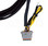 Now you can use your AVS switchbox with AccuAir manifold - this makes it plug and play!

Plugs directly into any AVS ARC-7 or AVS ARC-T7 switchbox and Accuair's VU4 manifold valve. Also includes accessory wire to provide switched power to your compressor's relays/solenoids. Remote fill and dump wires for your AVS ARC-7 switch box are also included in the harness. 
