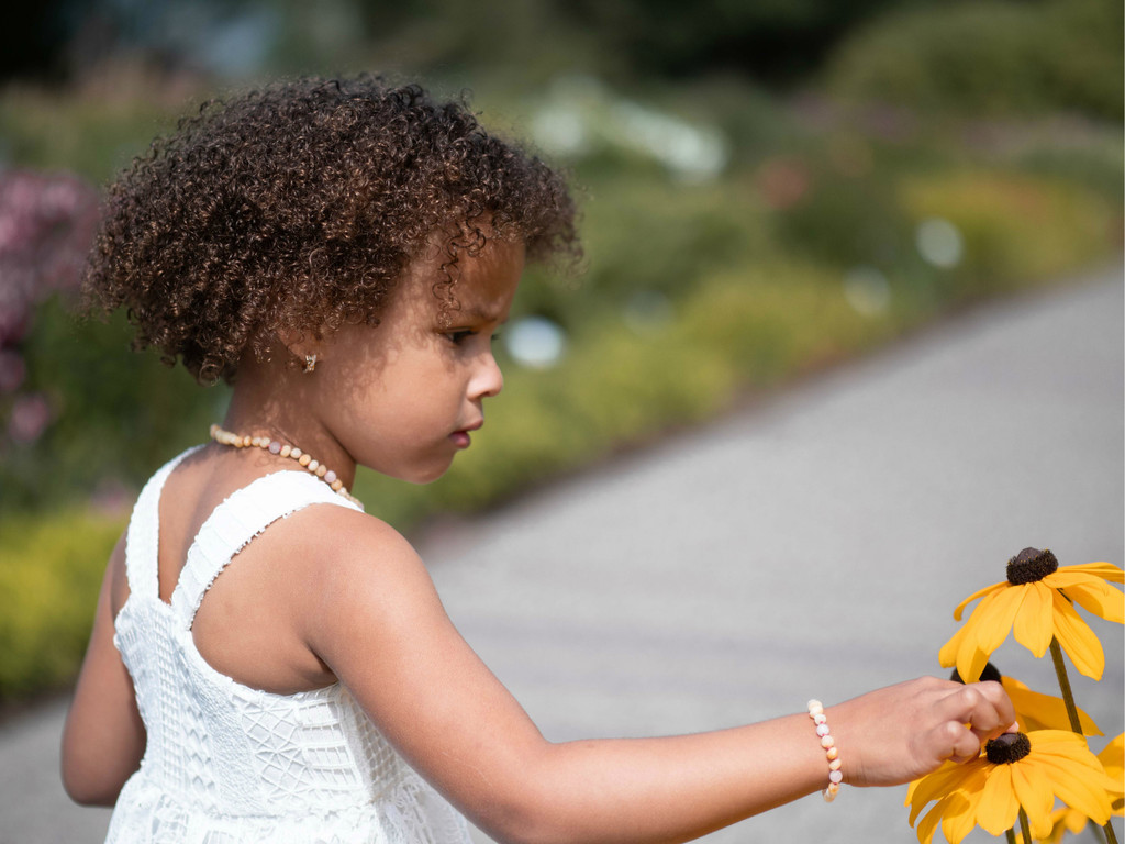 Raw butterscotch nugget amber teething necklace handcrafted with matte rose quartz accents