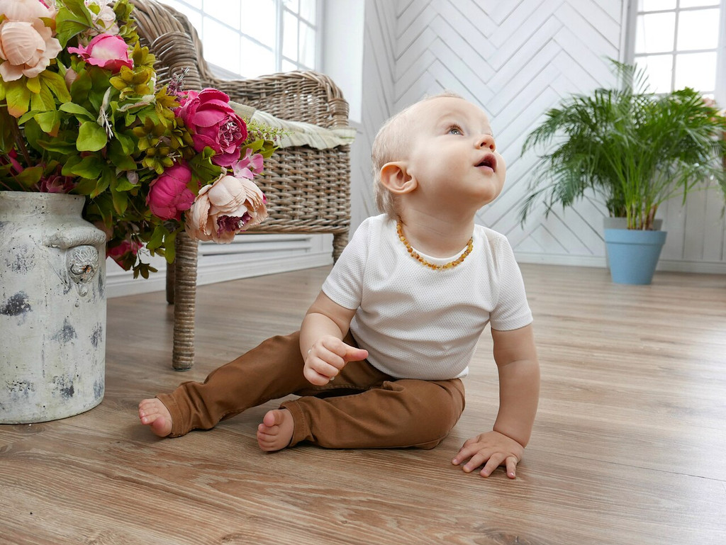 Honey raw amber teething necklace