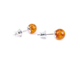 Kids and adults round cognac Baltic amber stud earrings