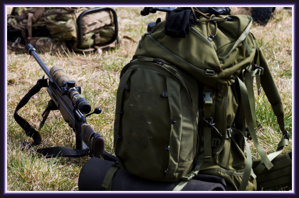 Gear image
