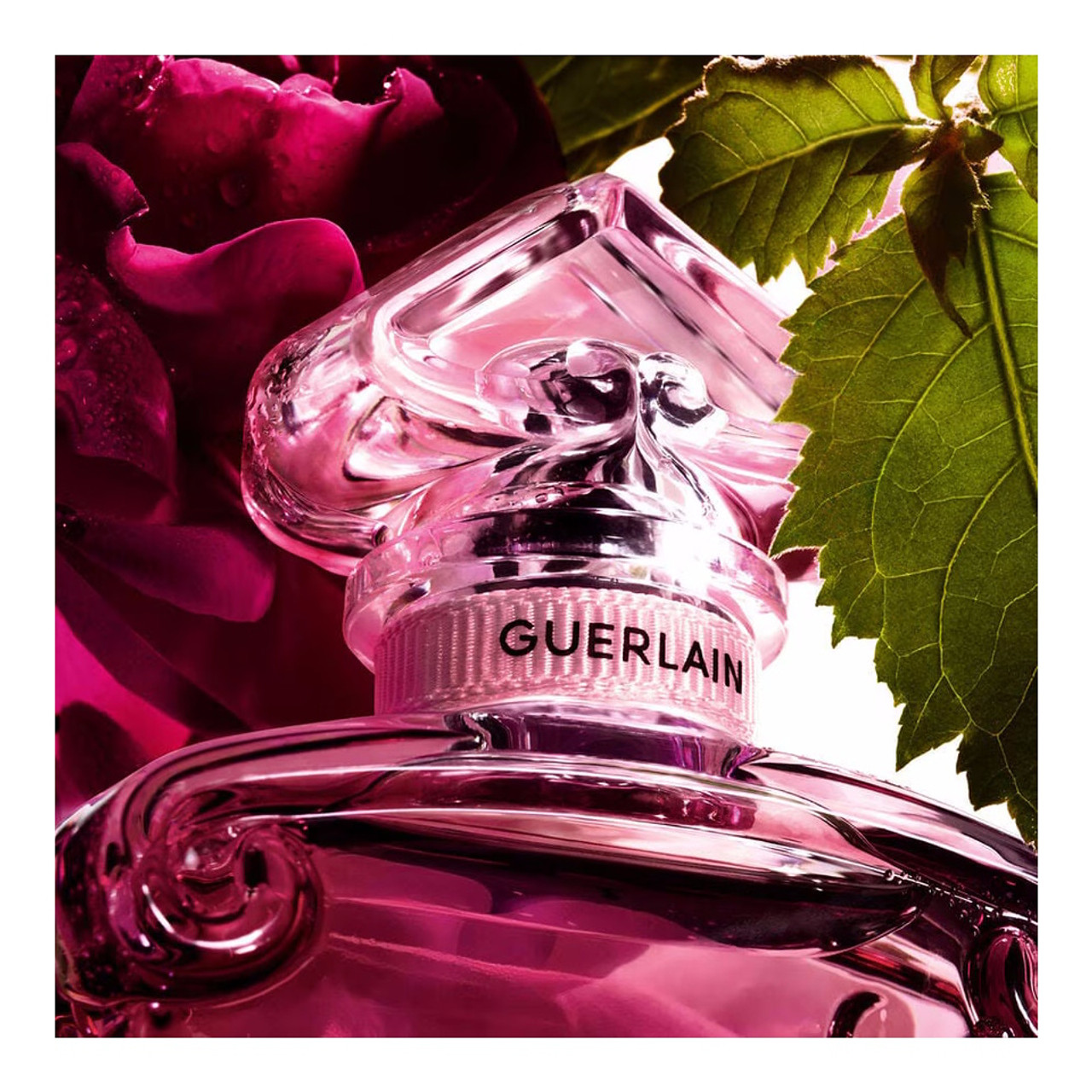 Guerlain La Petite Robe Noire EDP Absolue 3.3 oz / 100 ml