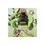 Valentino Uomo Born In Roma Green Stravaganza Edt Spray 1.7 oz / 60 ml For Men