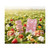 Lattafa Yara Elixir Eau De Parfum 100 ml / 3.4 oz Spray For Women