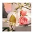 Dolce & Gabbana MY DEVOTION 10 ml EDP Intense Spray for Women
