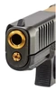 NDZ Glock 19 45 Gen 6 Guide Rod Assembly 15 lb. Gold NDZ-GRA-G6-G19-GLC15-PVD01