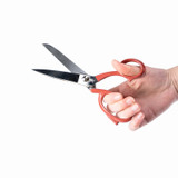 Kleermakersschaar, Homey's, Elastodur, kartel, 21 cm, kaart