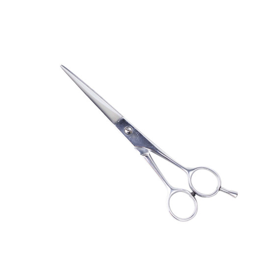 Kappersschaar, Homey's, rvs, 16 cm