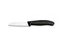 Groente-/schilmesje 3st., Victorinox, SwissClassic, recht, s
