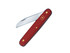 Couteau à copule, Victorinox, EcoLine, acier inoxydable/nylon rouge+anneau