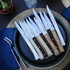 Tafelmessenset 4-delig, Opinel, Facette Olive, glad, doos