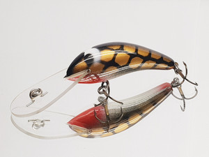 JD 60mm Depth Master " Gold Carp "