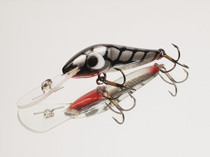 Eddy Lures 60mm Wasp " Carp "
