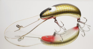 JD 85mm Super Bug " Yellow Belly "