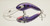 Eddy Lures 120mm Cod Buster "Purple Pink"
