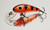 Versatile little lure suitable for a wide variety of fish species such as Trout, Bass, Bream, Redfin etc.
Wide action diving to 8ft and is a floating diver. 


Solid Polyurethane.