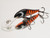 Eddy Lures 60mm Wasp " Blorange "
