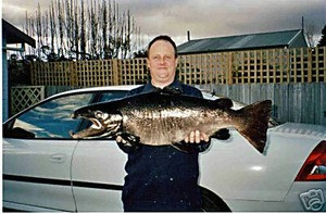 JD 60mm Depth Master " Gold Candy "