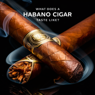 What Does a Habano Cigar Taste Like?