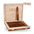 Oliva Serie V Melanio Torpedo 6 1/2 x 52 box-pressed cigar