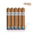 Back2Back Connecticut 5X50  5-Pack Cigars For Sale