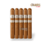 Rocky Patel Vintage 1999 Robusto 5-Packs Cigars For Sale