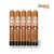 My Father Connecticut Robusto Cigars For Sale