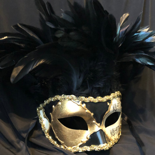 men's feather masks