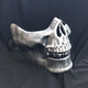 silver skull mask half