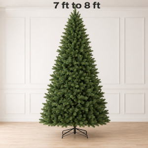 7 – 8.5 ft
