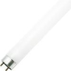 54 Watt