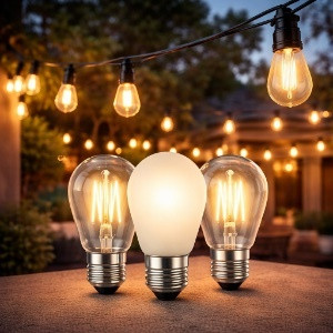 S14 String Light Bulbs