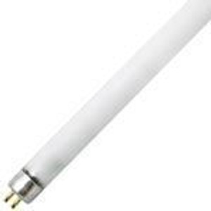 50 Watt