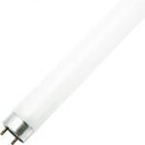 24 Watt