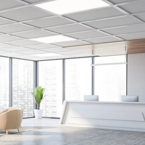 Ceiling Mount