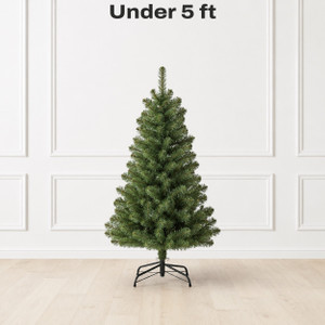 Under 5 ft