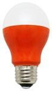 A19