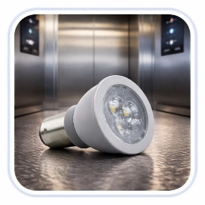Elevator Bulbs