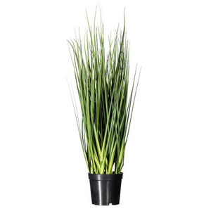 Vickerman 24" Artificial Potted Extra Full Green Grass