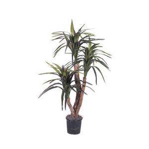 Vickerman 4' Artificial Marginata Extra Full Bush Black Plastic Pot