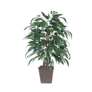 Vickerman 4' Artificial Mango Bush Brown Square Plastic Container