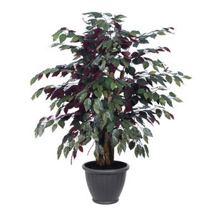 Vickerman 4' Artificial Capensia Extra Full Bush Gray Round Plastic Container