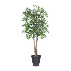 Vickerman 6' Artificial Japanese Maple Deluxe Tree Gray Round Plastic Container