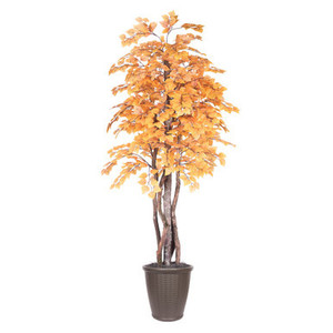 Vickerman 6' Artificial Golden Aspen Executive Tree Brown Round Plastic Container