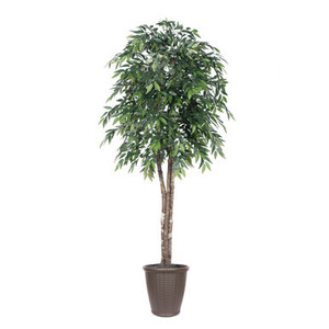 Vickerman 6' Artificial Green Smilax Deluxe Tree Brown Round Plastic Container