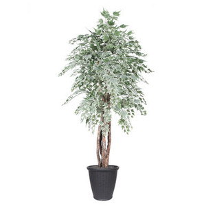 Vickerman 6' Artificial Silver Maple Executive Tree Gray Round Plastic Container